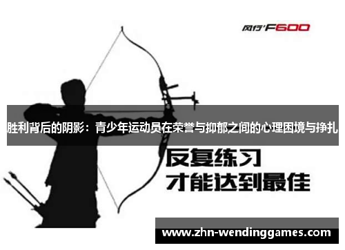胜利背后的阴影：青少年运动员在荣誉与抑郁之间的心理困境与挣扎