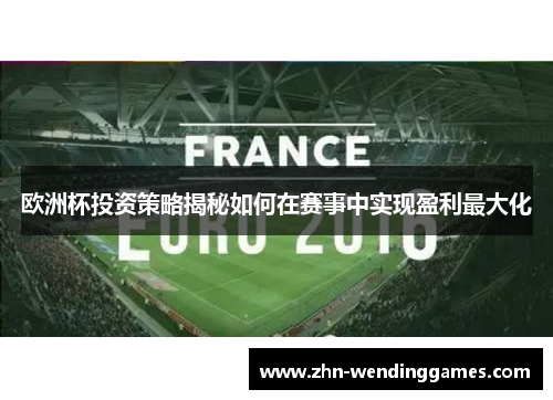 欧洲杯投资策略揭秘如何在赛事中实现盈利最大化