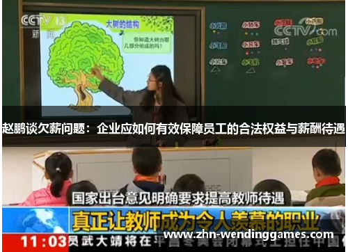 赵鹏谈欠薪问题：企业应如何有效保障员工的合法权益与薪酬待遇