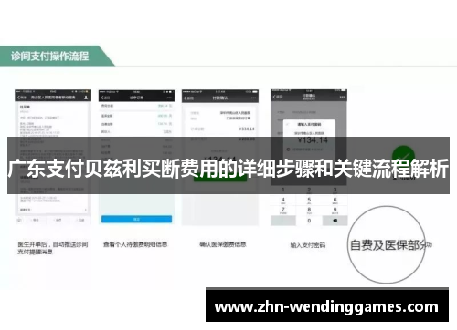 广东支付贝兹利买断费用的详细步骤和关键流程解析