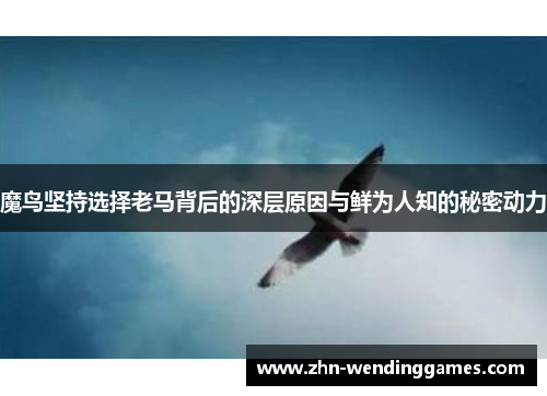 魔鸟坚持选择老马背后的深层原因与鲜为人知的秘密动力