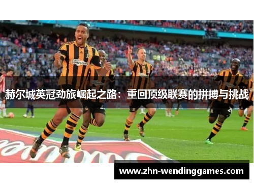 赫尔城英冠劲旅崛起之路：重回顶级联赛的拼搏与挑战