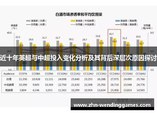 近十年英超与中超投入变化分析及其背后深层次原因探讨