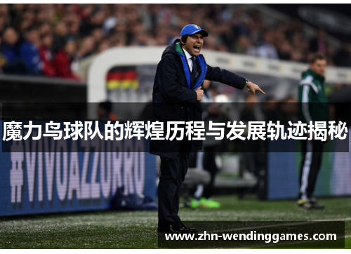 魔力鸟球队的辉煌历程与发展轨迹揭秘