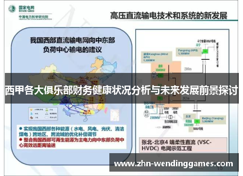 西甲各大俱乐部财务健康状况分析与未来发展前景探讨