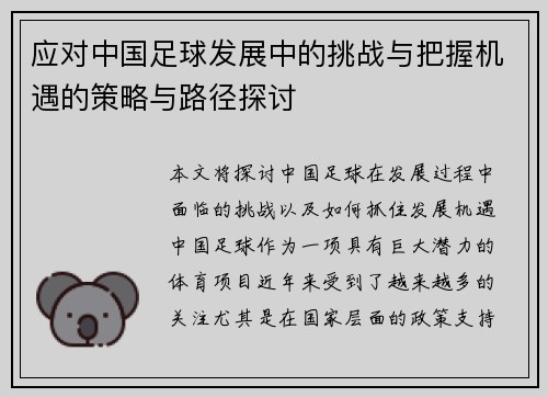 应对中国足球发展中的挑战与把握机遇的策略与路径探讨